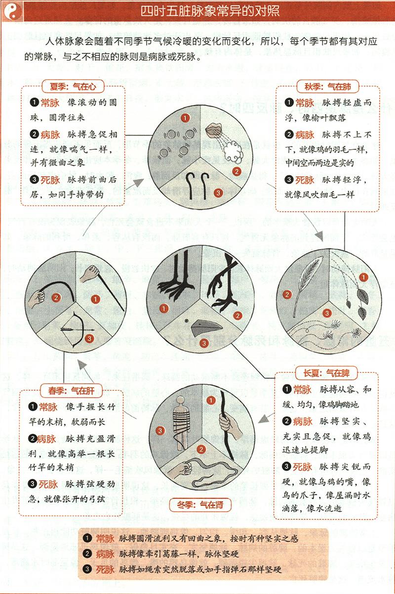 五臟的常脈、病脈和死脈分別是什么？