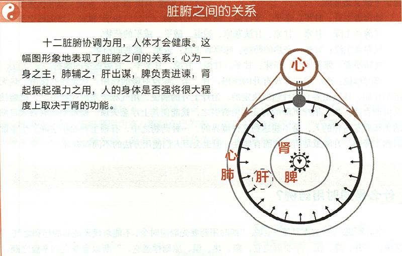 什么是五臟五味補(bǔ)瀉？