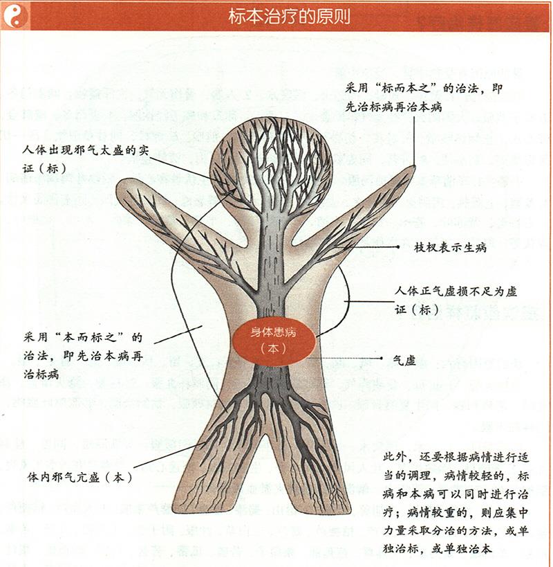 什么是標(biāo)本陰陽？