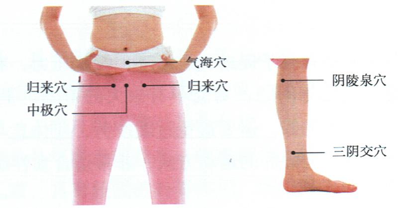 按摩歸來穴、中極穴等，健脾調(diào)經(jīng)更助孕