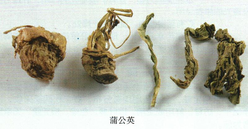 蒙藥經(jīng)方