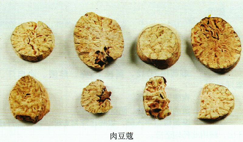 蒙藥經(jīng)方