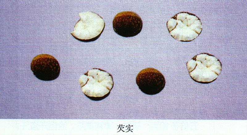 蒙藥經(jīng)方