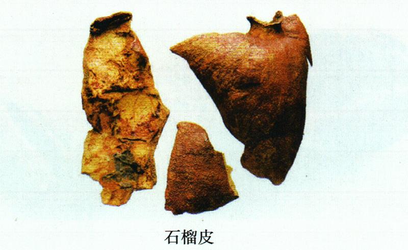 蒙藥經(jīng)方